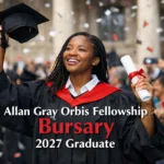 Allan Gray Orbis Fellowship Bursary 2027