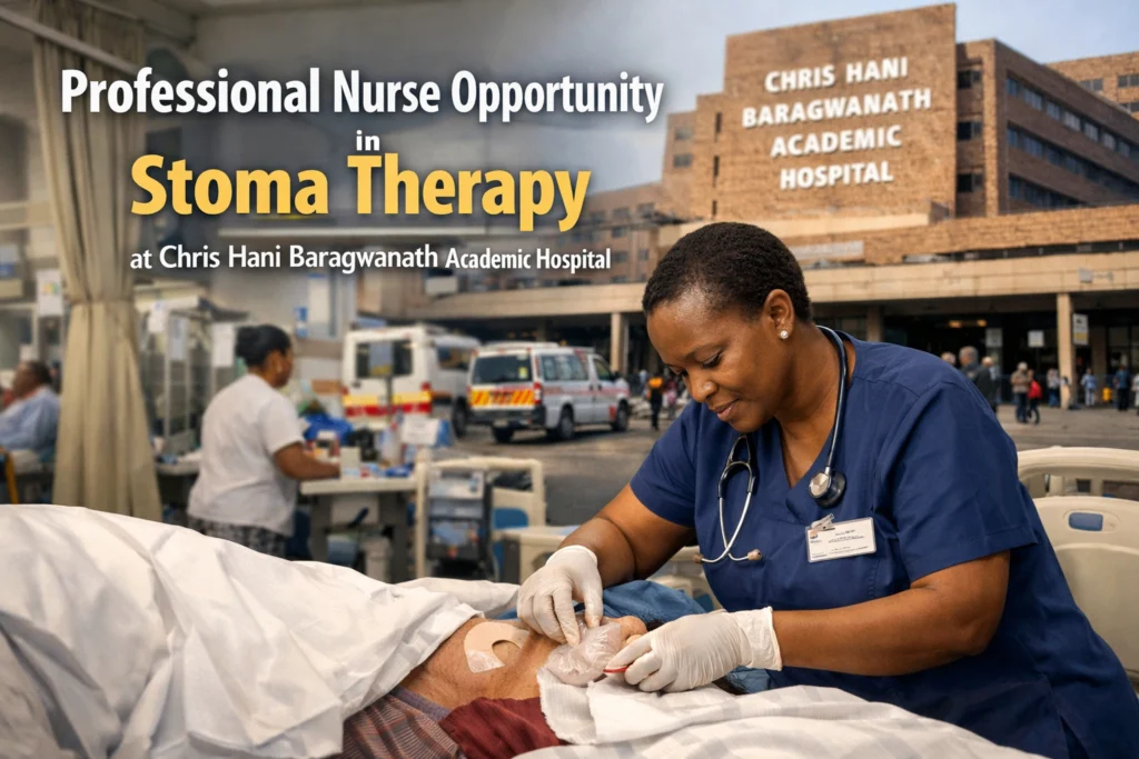 Professional Nurse 2 Professional Nurse