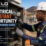 STELO Electrical Assistant