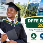 (DFFE) Bursary 2027